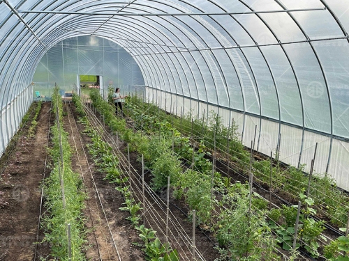 Greenhouse manufacture