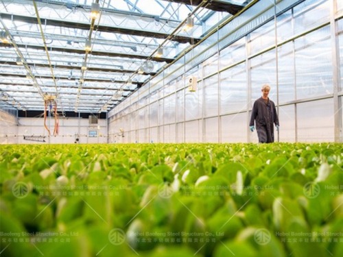 Greenhouse manufacture