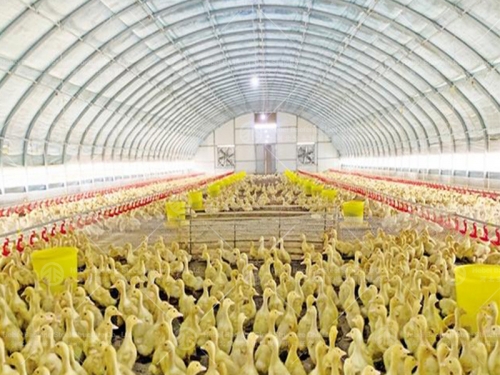 breeding greenhouse