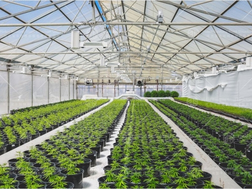Poly tunnel steel structure CO2 generator commercial greenhouse kits