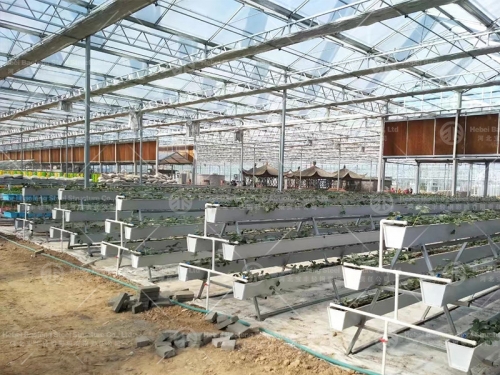 Greenhouse manufacture