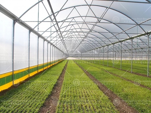 Venlo Type Poly Policarbonato Agricultural Tunnel Greenhouse