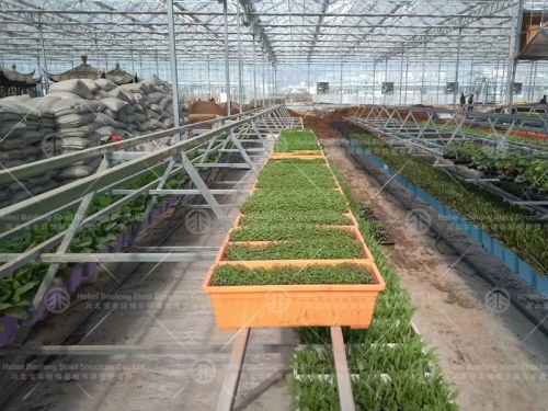 Greenhouse manufacture