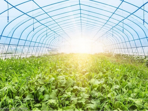 Greenhouse manufacture