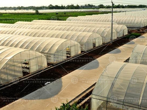 Greenhouse manufacture