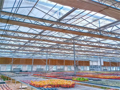 Greenhouse manufacture