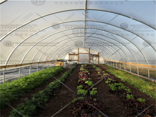 Greenhouse manufacture
