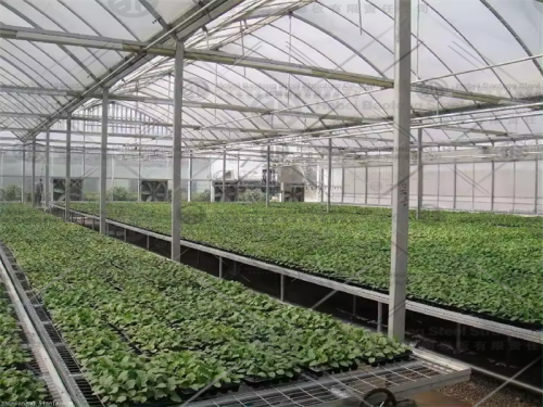 Greenhouse manufacture