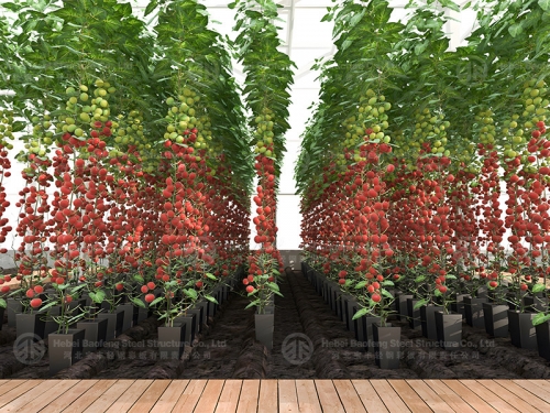 Greenhouse manufacture