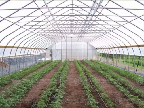 Greenhouse manufacture