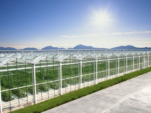 Greenhouse manufacture