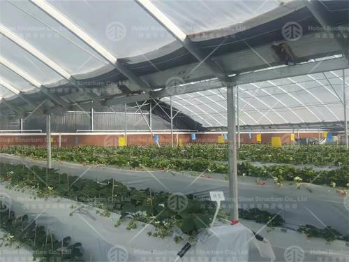 Greenhouse manufacture