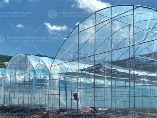 Greenhouse manufacture