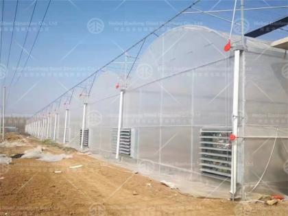 Greenhouse manufacture