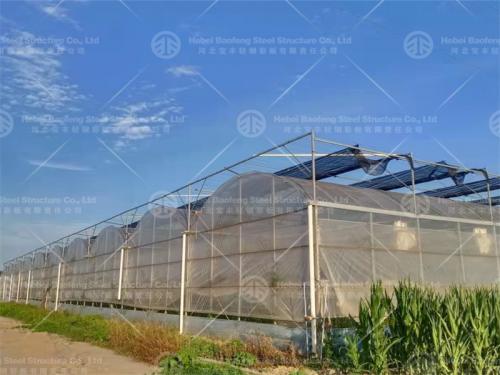 Greenhouse manufacture