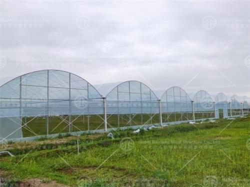 Greenhouse manufacture