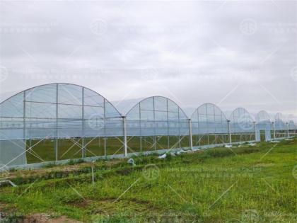 Greenhouse manufacture