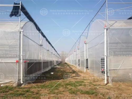 Greenhouse manufacture