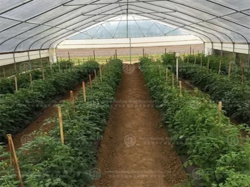 Greenhouse manufacture