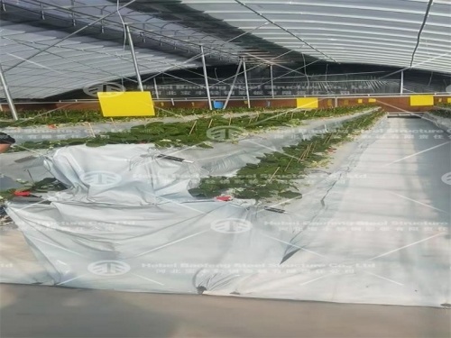 Greenhouse manufacture