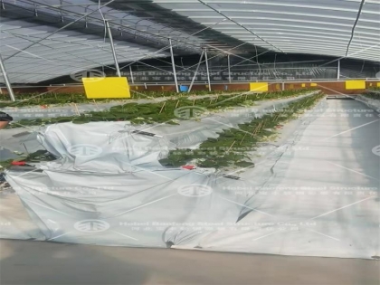 Greenhouse manufacture