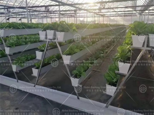 Good Quality And Easily Installed Agricultural/Commercial Green House Greenhouse
