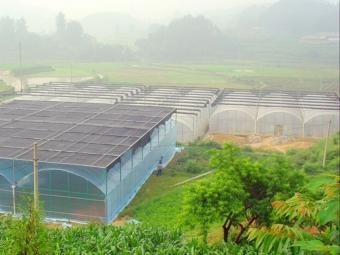 Greenhouse manufacture