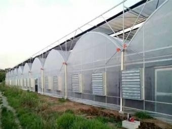 Greenhouse manufacture