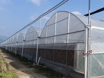 Greenhouse manufacture