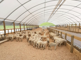 Greenhouse manufacture