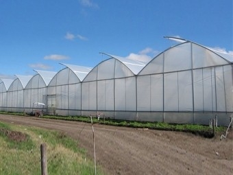 Greenhouse manufacture
