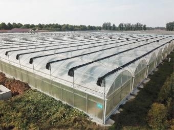 Greenhouse manufacture