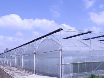Greenhouse manufacture