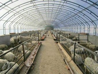 breeding greenhouse
