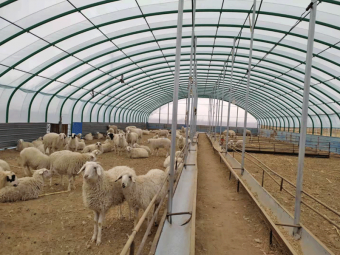 breeding greenhouse