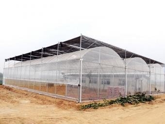 Greenhouse manufacture