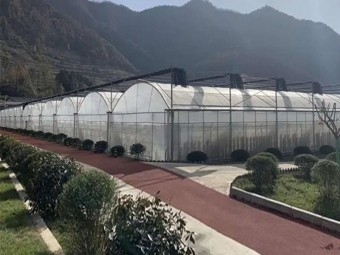 Greenhouse manufacture