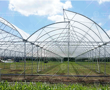 How to build greenhouse?