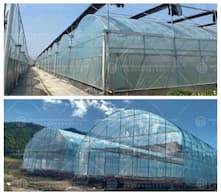New developments in global greenhouse technology and international cooperation