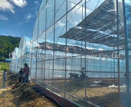 1600 sqm Greenhouse in Cambodia