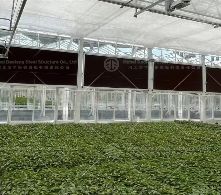 Types of Greenhouse Structures and Their Unique Advantages