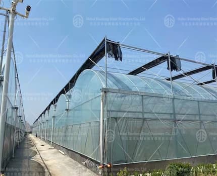 Chinese plastic film greenhouses exported to Middle East