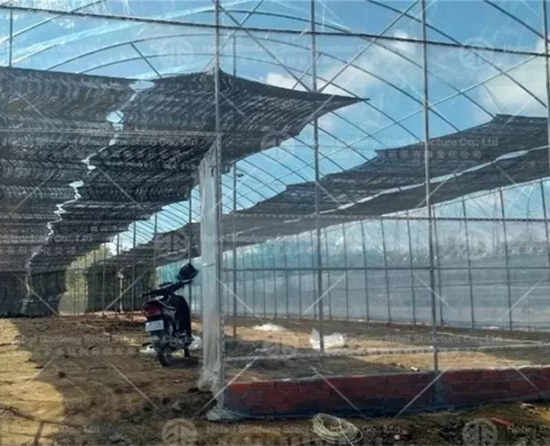 Single-span Greenhouse Feedback from Cambodian Customers