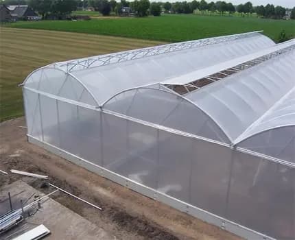 China's greenhouses are exported to Algeria