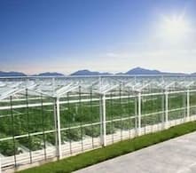 Innovative greenhouse technology - opening a new chapter in efficient agriculture