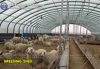 Animal husbandry greenhouse