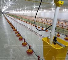 Greenhouses from a global perspective: innovative technology and the future of sustainable animal husbandry