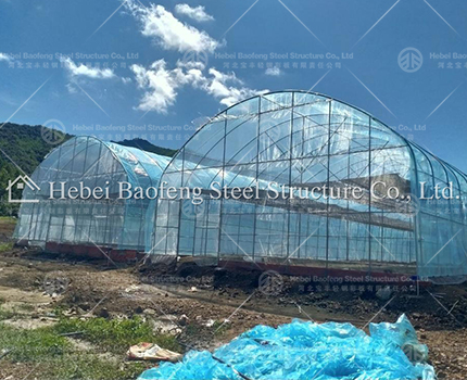 Greenhouse build in Cambodia