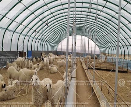 Successful case of greenhouse breeding sheds exported to the Netherlands