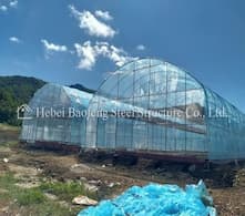 Greenhouse import and export trade is booming, contributing to global agricultural modernization.
